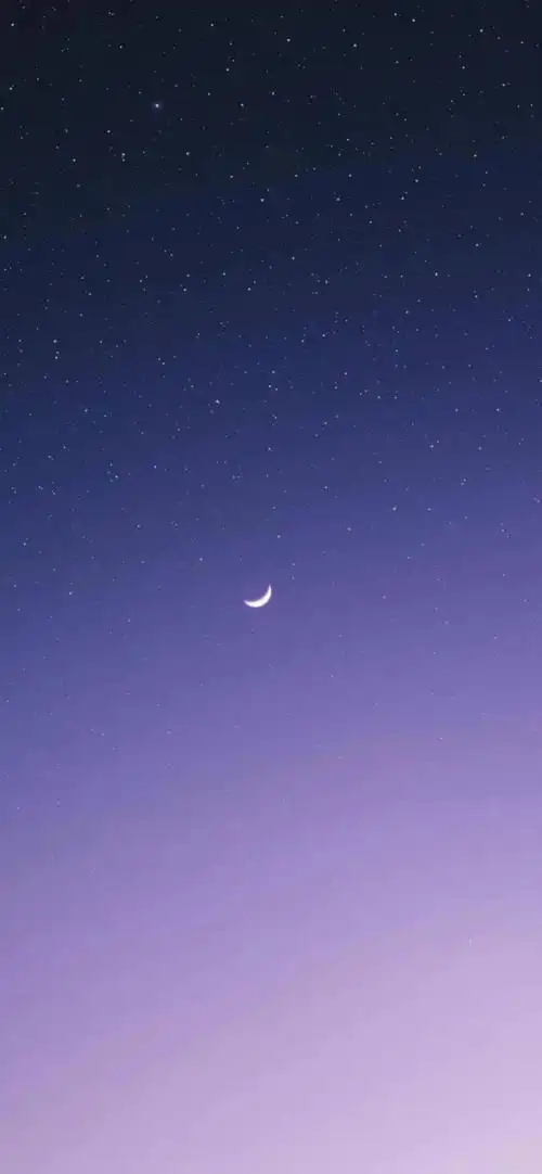 紫紫紫色系壁纸出道了