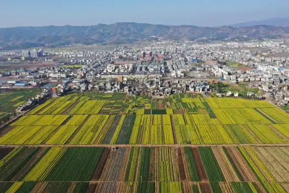 【百城21】姚安:滇中粮仓文献名邦