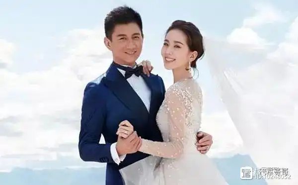 刘诗诗被传成功怀上双胞胎网友吴奇隆也该当爸了