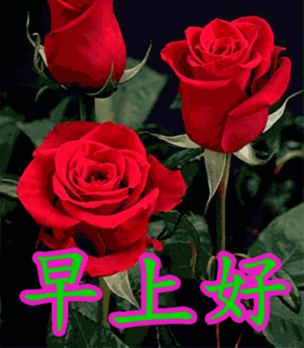 早上好祝福句子动态表情图片早上好问候话及关心语