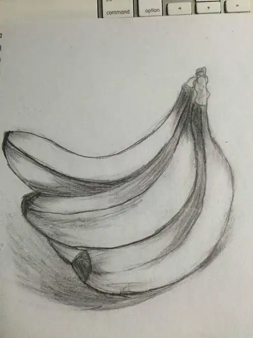 素描光影效果简笔画 简笔画图片大全-普车都