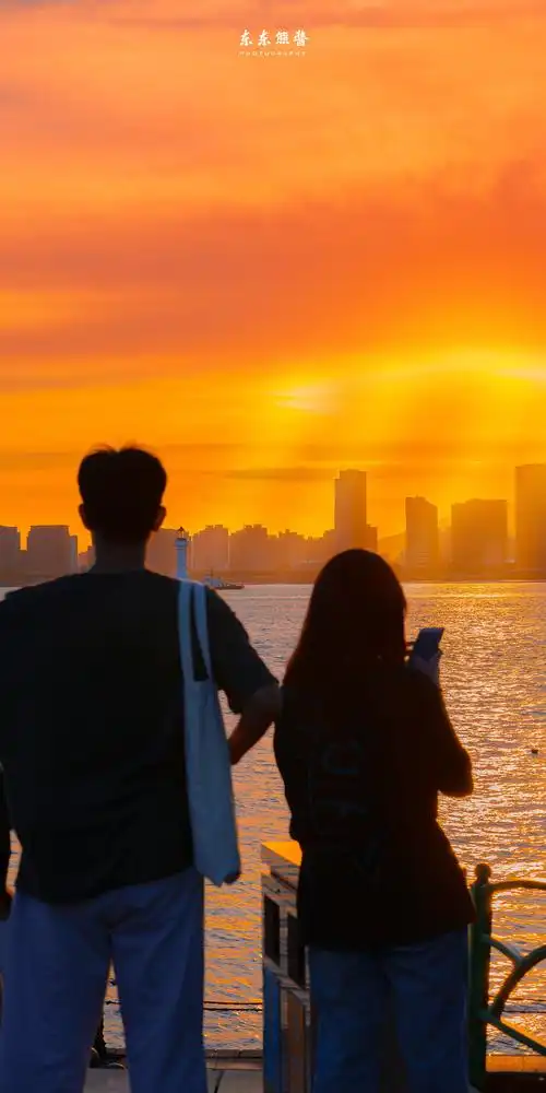 当爱情和适合相遇究竟应该如何选择