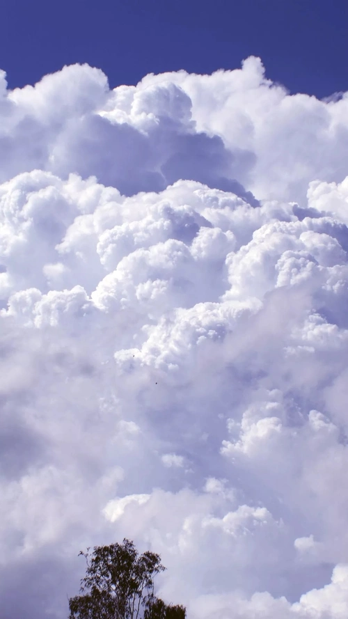 蓝色梦幻云海风景h5背景