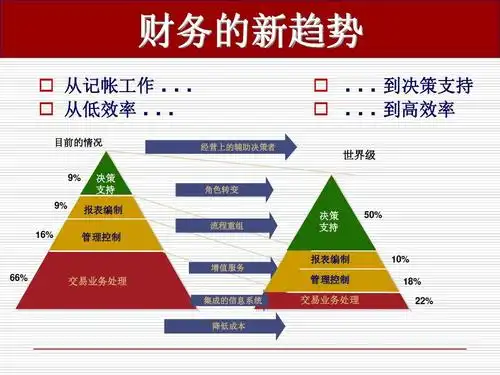 高级机财务管理(1)ppt