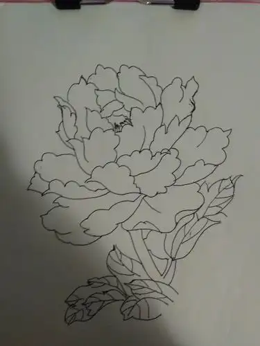 白描花卉