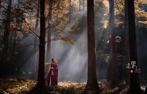 她走访每一棵生机勃勃的大树,1200_766