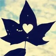 枫叶头像图片大全