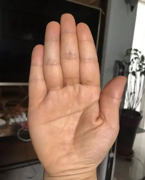 八大吉祥手相,看看你有几条