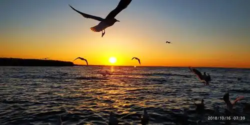 美丽中国西北金秋行 第四天 居延海 日出(二)