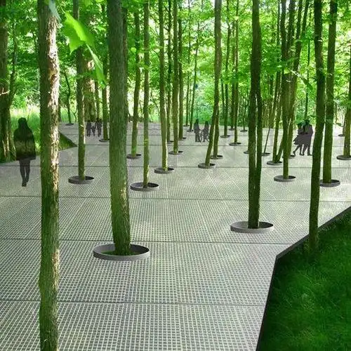 树阵,树阵广场,树阵景观,主景树,景观树,树,大树,景观大树