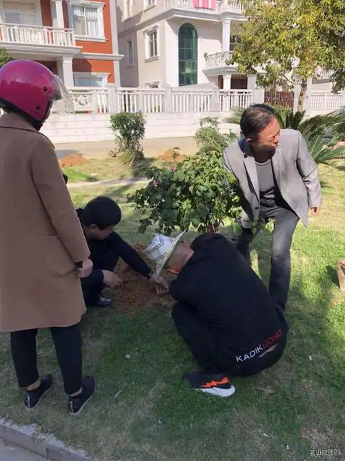 2019沙埔镇赤礁村村领导及村民义务植树