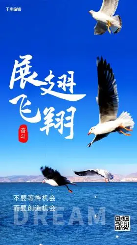 摄影图海报老鹰展翅高飞蓝色简约海报