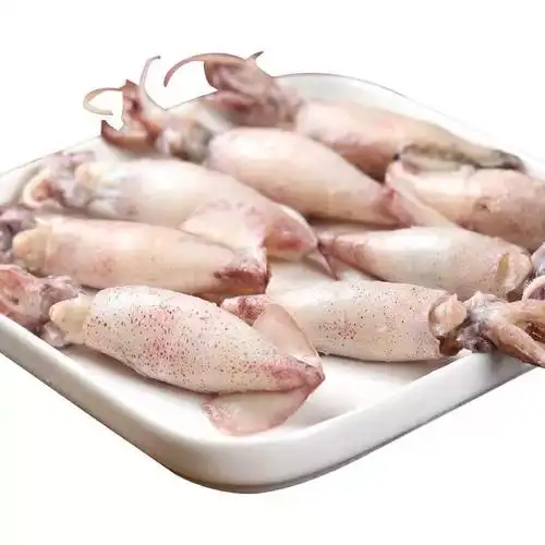 全籽籽乌带籽满籽乌鱼新鲜海兔笔管鱼墨鱼鱿鱼八爪鱼斗鱼笔管鱼