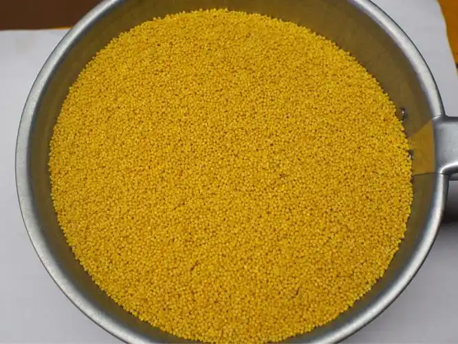 莒县大石头纯天然有机小米开始抢购了!