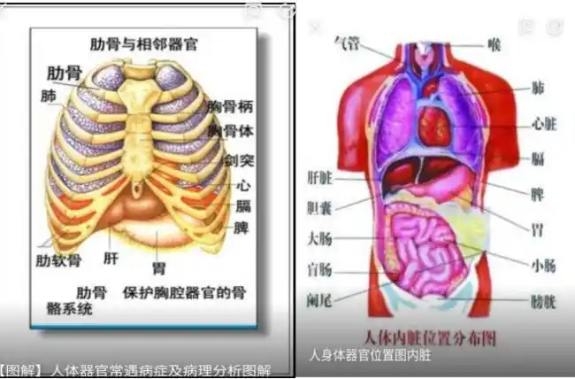 肋骨骨折的家庭急救
