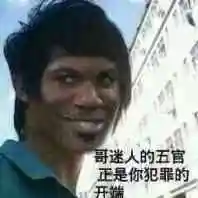 哥迷人的五官,正是你犯罪的开端 - 斗图表情包 - 金馆长表情库 - 真正