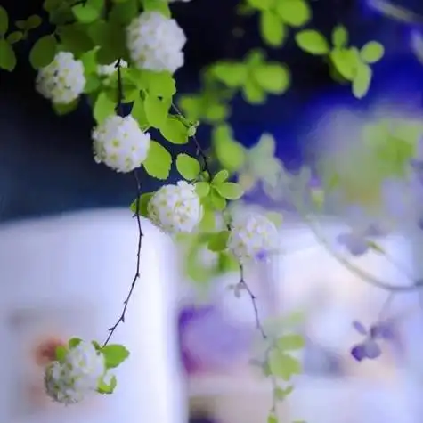 30一40岁成熟女人头像 高清简单干净有品位的女人微信头像图片_女生