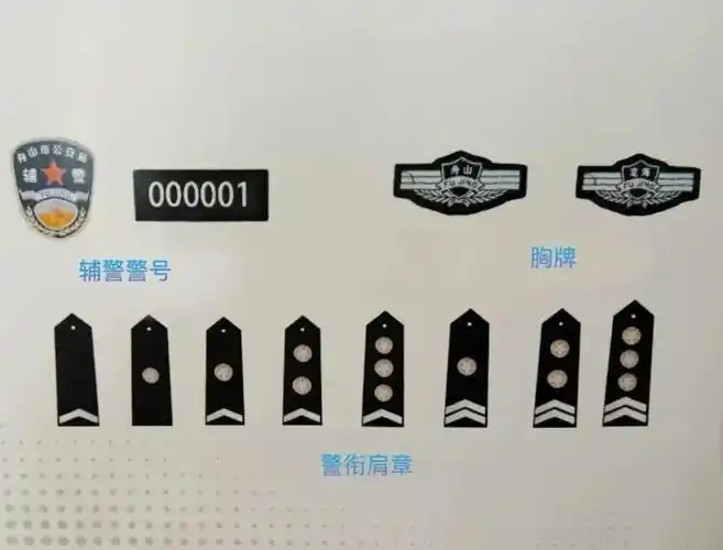 为辅警授衔!|公安|舟山市_新浪新闻