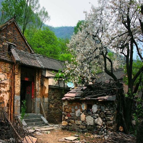 直播间背景布背景墙田园农村老房子雪景窑洞山水风景抖音快手直播