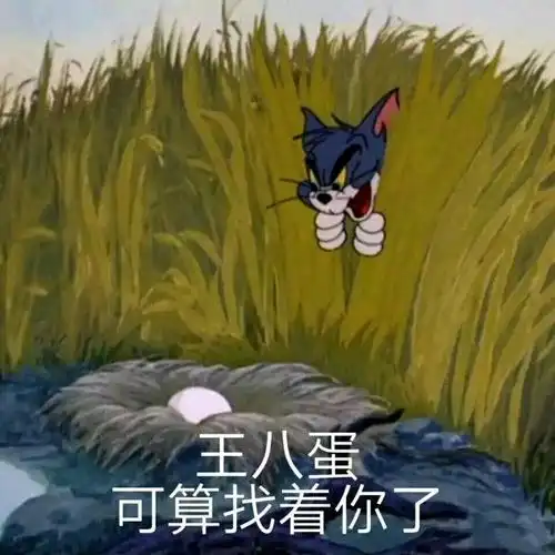 王八蛋,可算找着你了 - 斗图表情包 - 金馆长表情库 - 真正的斗图网站