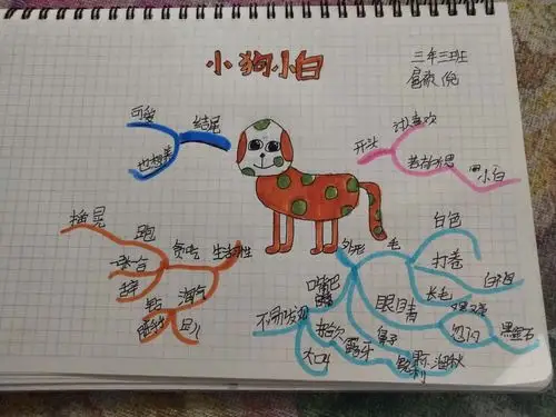 三年三班小朋友思维导图可爱的小动物
