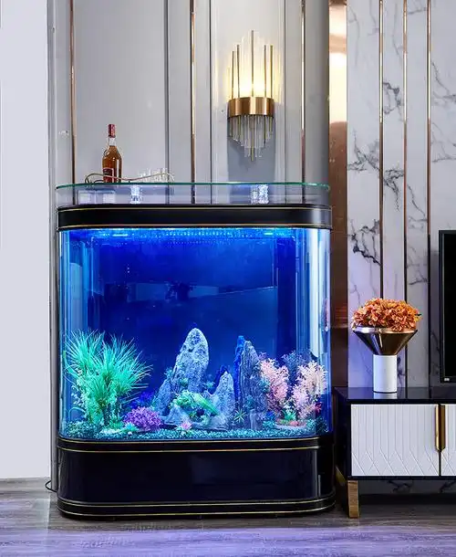 新款轻奢简约现代鱼缸水族箱 客厅家用玻璃欧式金鱼缸生态免换水大型1