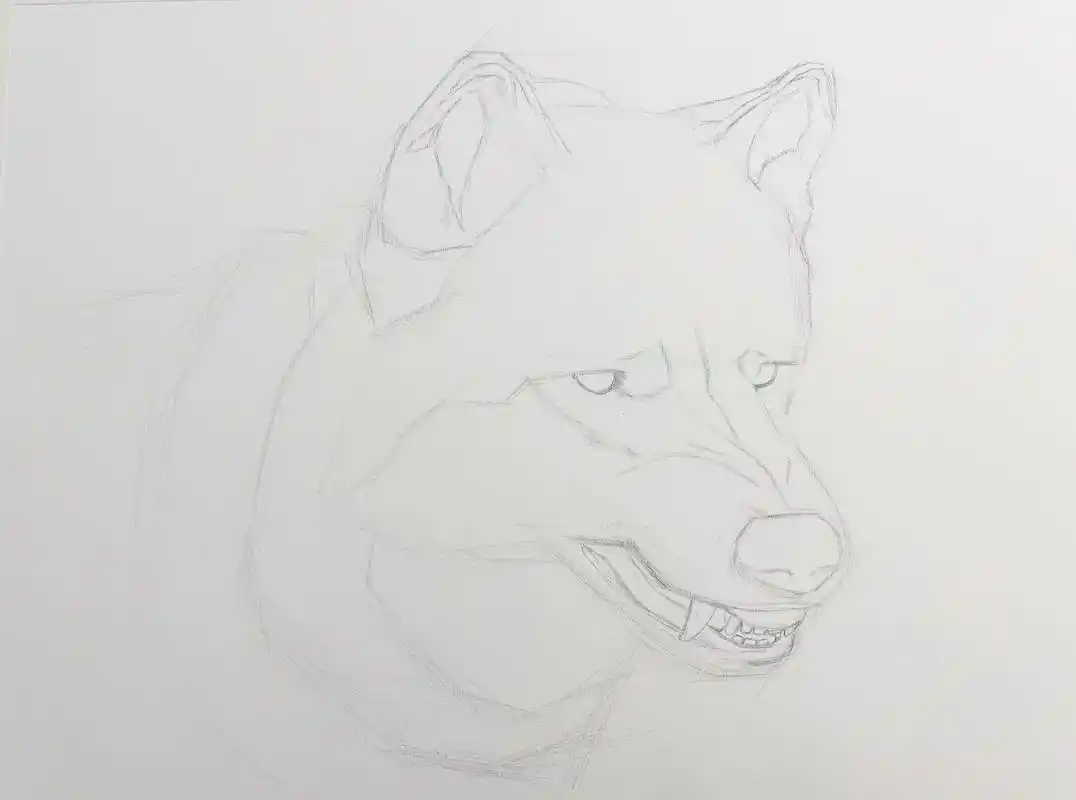 素描"狼"#一起学画画 #画室 #精微素描 #素描 - 抖音