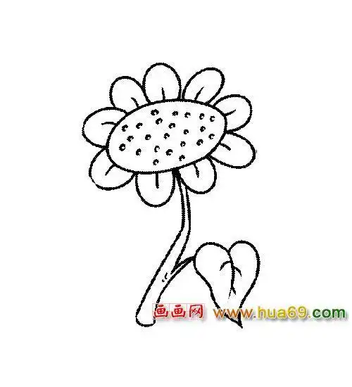 午时花的简笔画视频