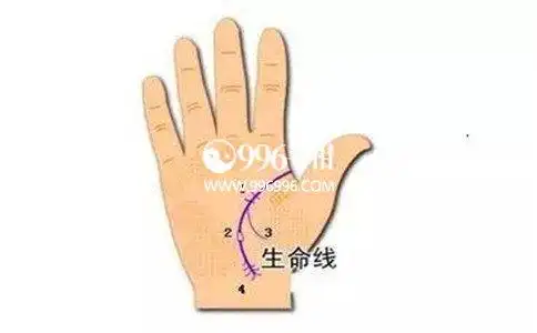 早死的手相这几个特征暴露了你是否短命