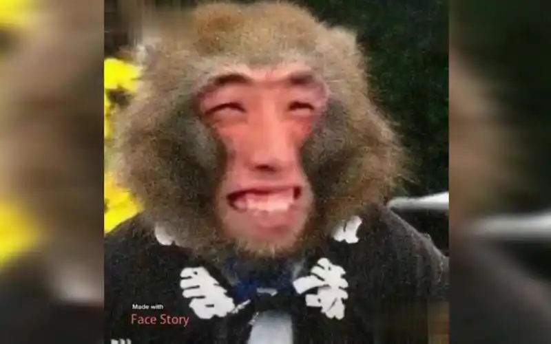 孽畜还不快现出原形旭旭宝宝