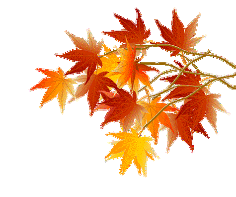 500_417gif 动态图 动图