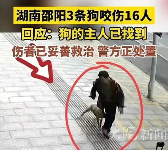 闹大了!邵阳三疯狗失控,16人被咬,疑似狂犬病毒,已找到狗主人