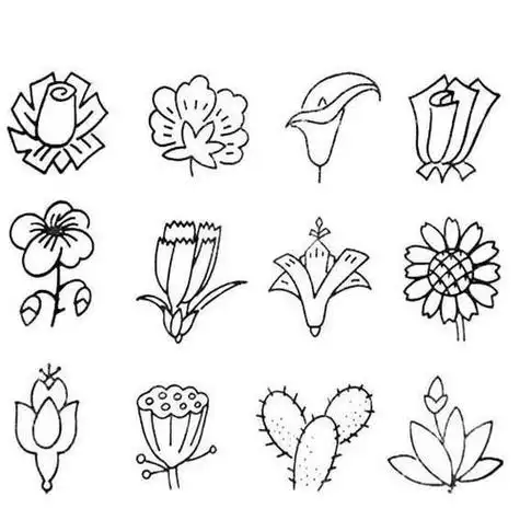 两种花朵的简笔画