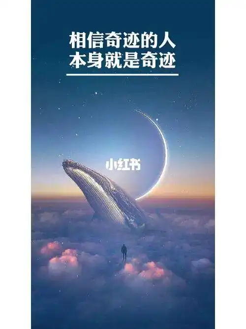 飞鸟图说相信奇迹