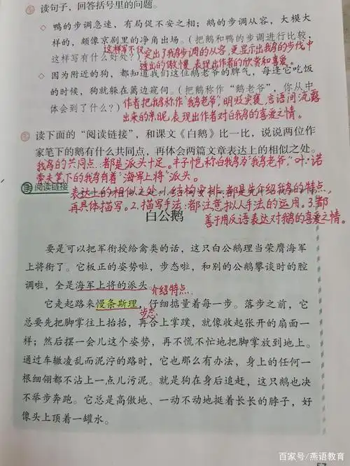四年级语文老师手写《白鹅》笔记,助你学习更高效