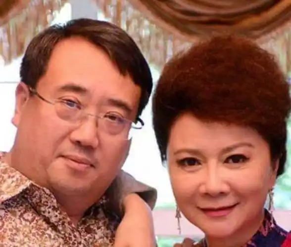 了33年的儿子,原来是熟悉的他,难怪身份一直不公开_丁秋星_丁丁_才华