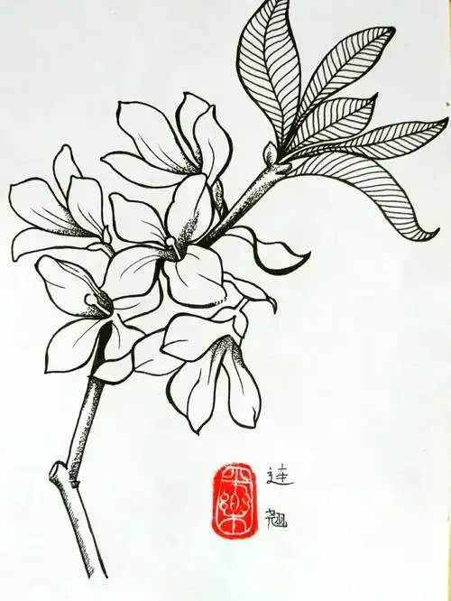 春015连翘临摹