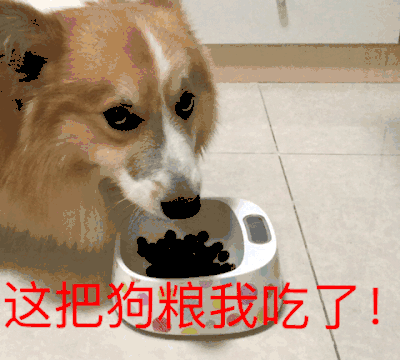 这汪星人图片_这汪星人动态图_这汪星人表情包gif动图下载_soogif