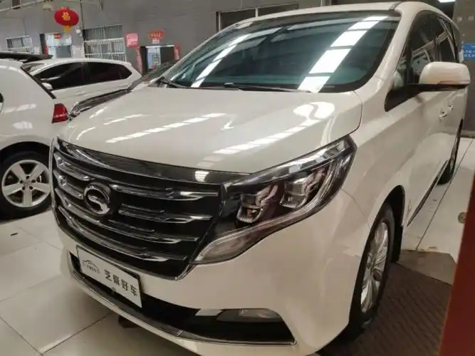 【辽源】2019年1月 力帆320 320t 尊享版 自动档