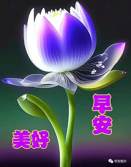 早上好温馨漂亮祝福图片问候语表情包,早安暖心问候祝福语大全