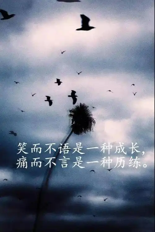 朋友圈感悟人生的经典短语发朋友圈最新人生感悟哲理经典句子