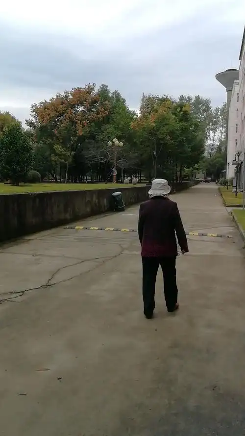 妈妈的背影一一一摄于2o18年枫林园