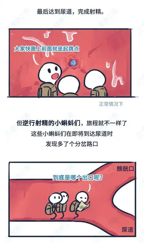 其实除了逆行射精,还有小伙伴和小薇分享过一些"奇葩景象":1,缩阳入腹