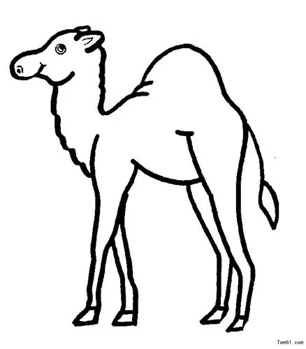 骆驼-简笔画图片-儿童资源网手机版