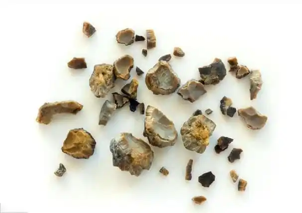 舍利子图片,黄念祖居士舍利子图片(得道高僧火化会有舍利)