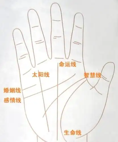 手上的"纹"和"丘"代表一个人的命运吗?