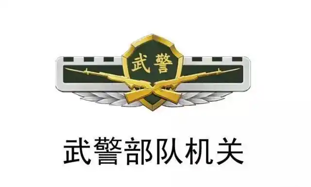 最新解放军和武警部队臂章胸标大全经典珍藏
