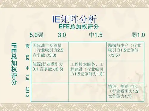 无忧文档 所有分类 经管营销 中石油具体战略分析ppt ie矩阵分析 5.