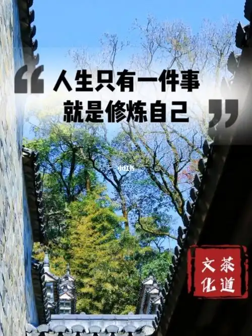 人生只有一件事就是修炼自己把自己活好