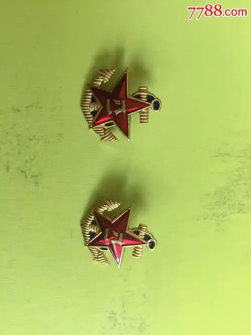 配发原品87式海军领花2只合拍